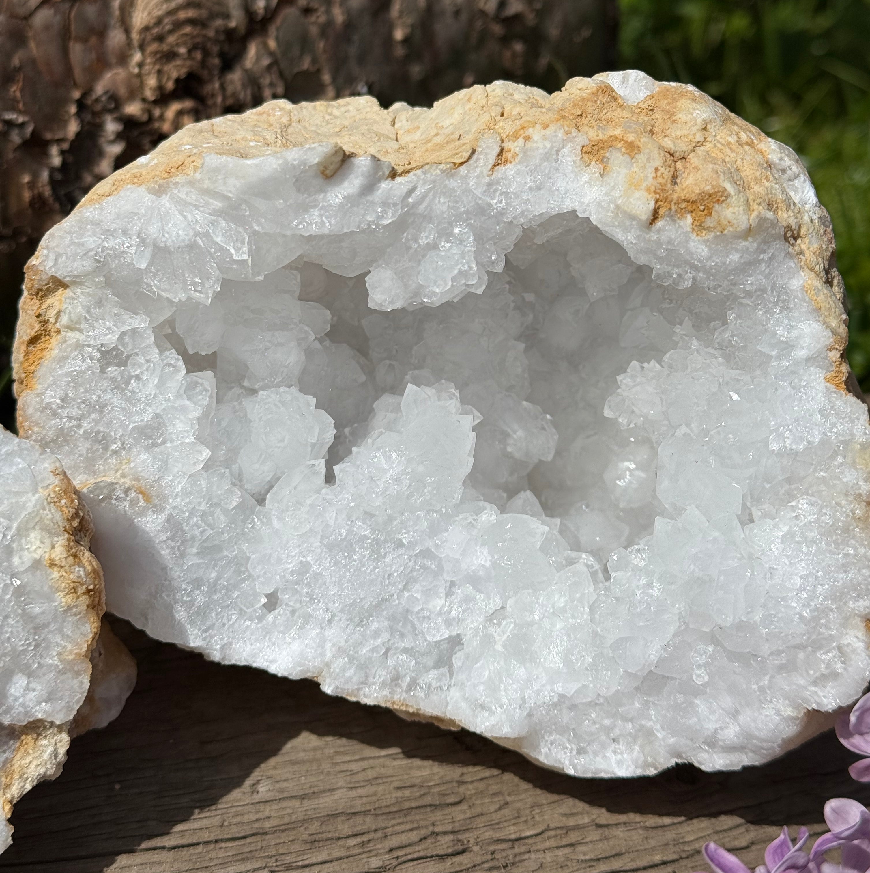 Calcit Geode Quarzdruse – cremeweiße Außenseite, strahlend weißes Inneres