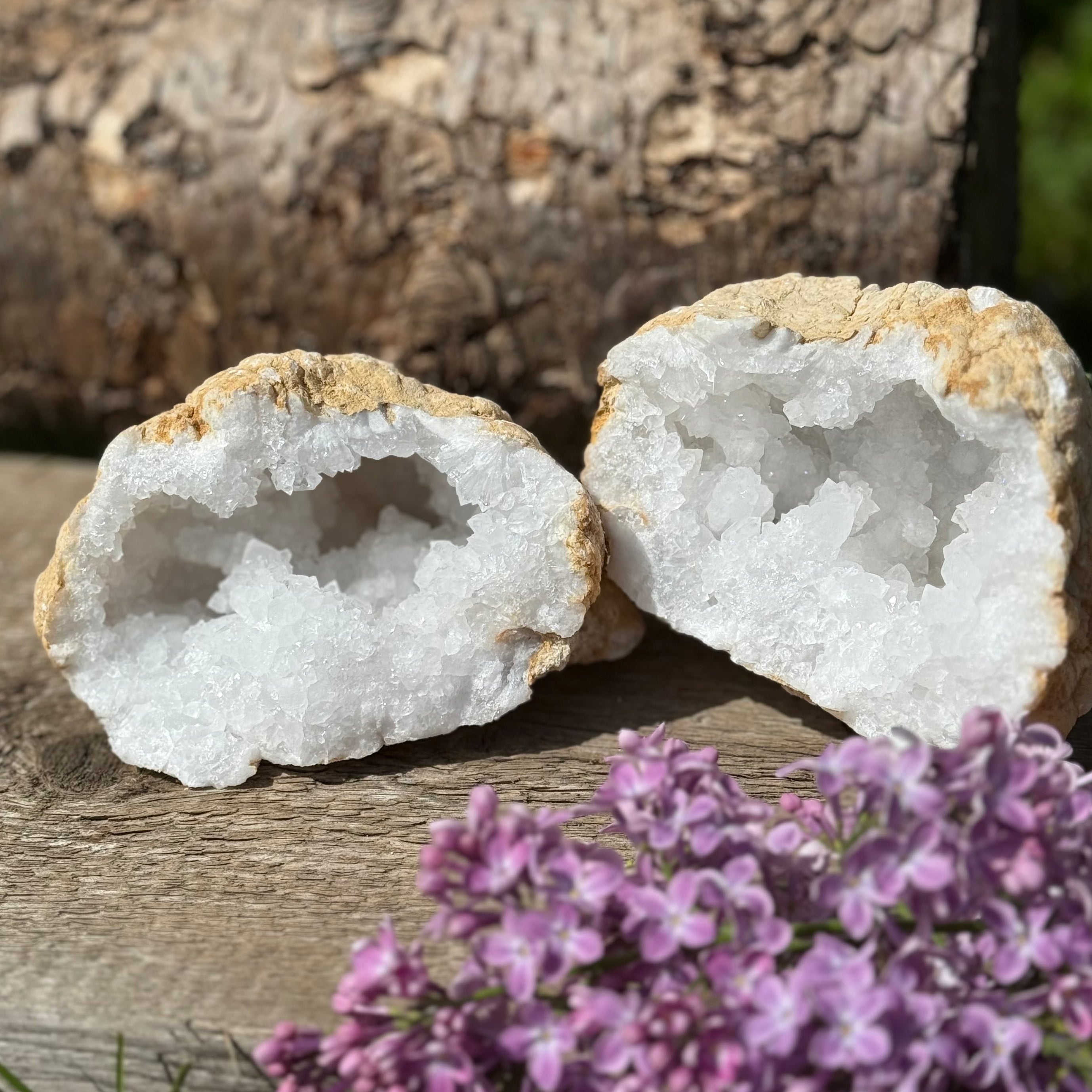 Calcit Geode groß – 2 Hälften mit weißer Quarzdruse, Vorderansicht