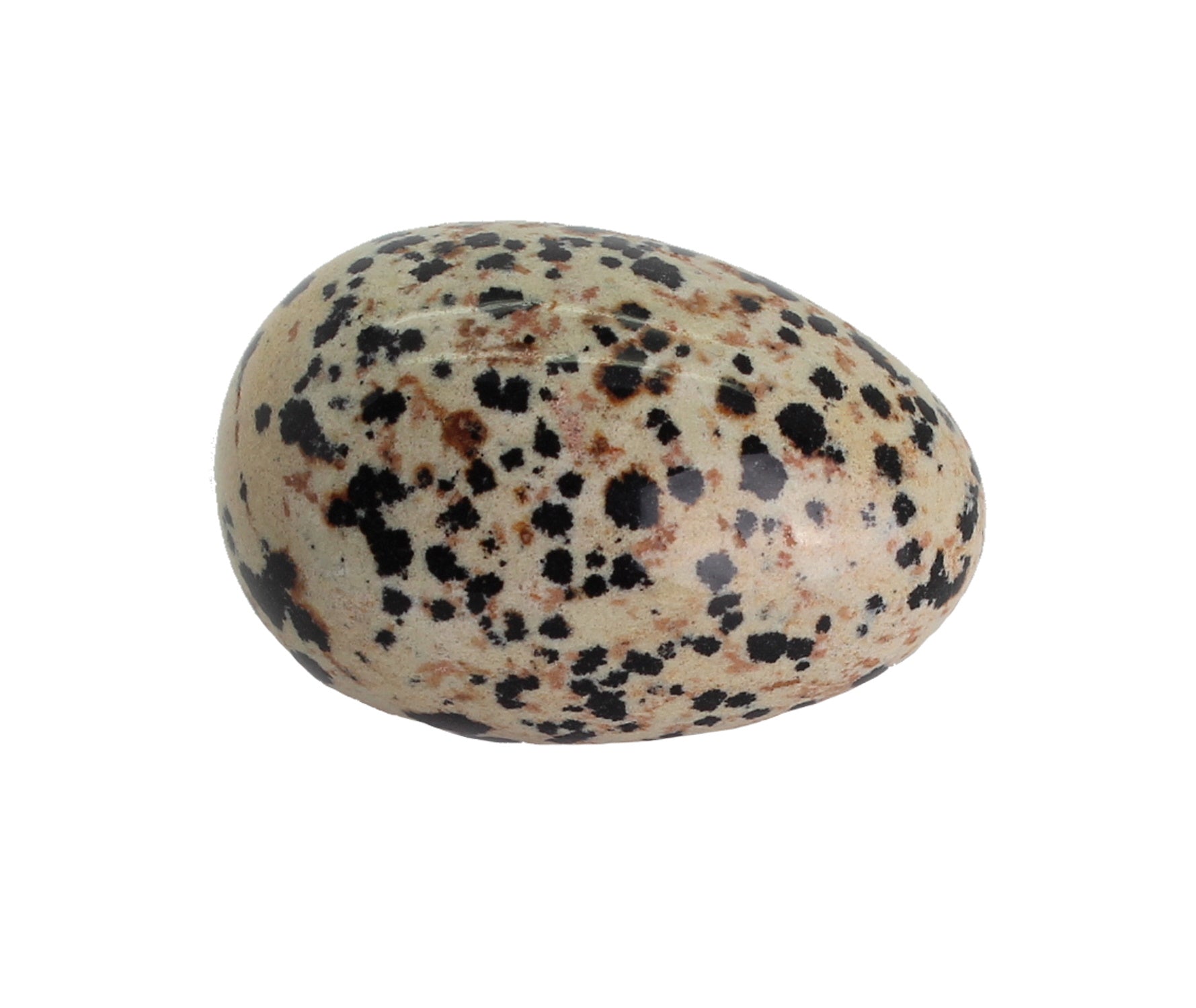 Dalmatinerstein Dalmatiner Jaspis Dalmatinerjaspis Stein Trommelstein Ei Eier Osterei Ostereier Dekoei Dekoeier Kugel Dekofigur Figur Figuren Sammlerstücke Dekostein Edelsteinei Edelsteineier Naturstein Edelstein Heilstein Rohstein Rohstück Brocken