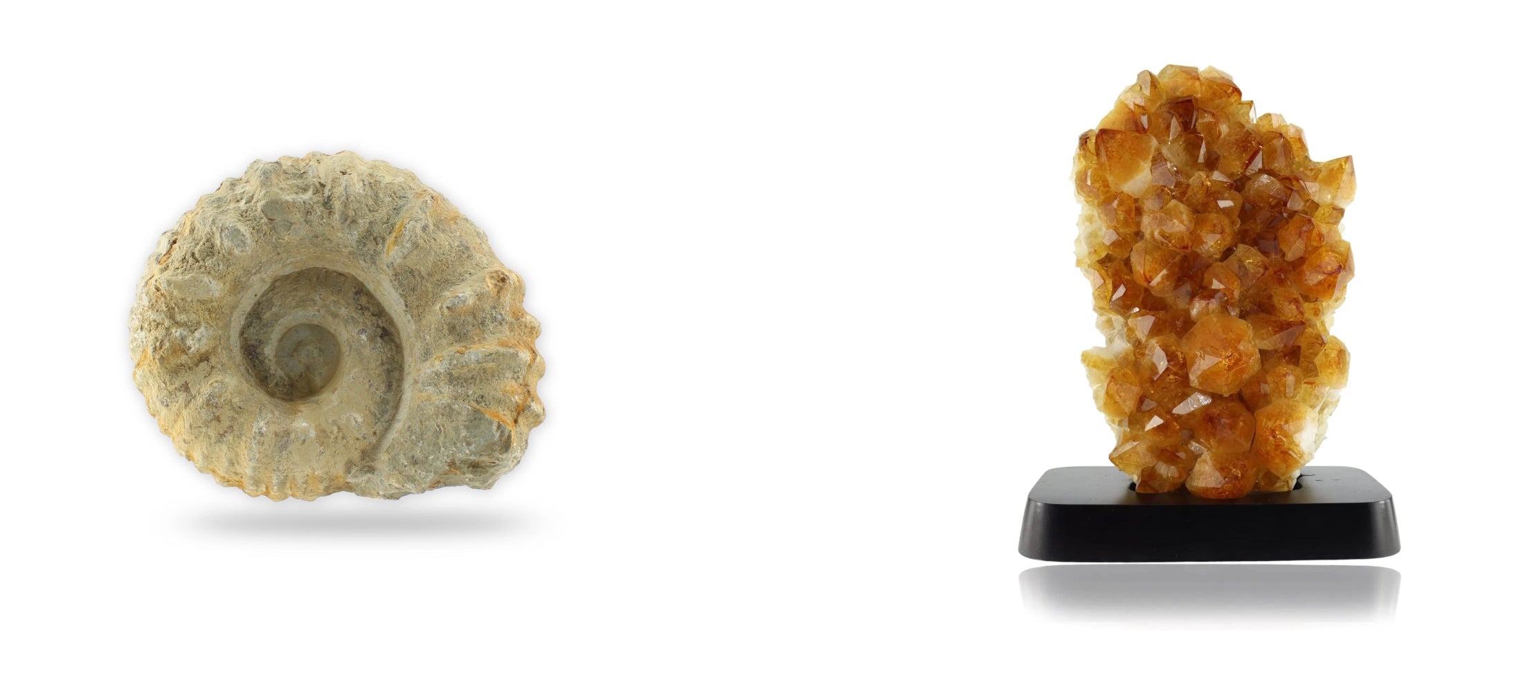 Mineralien & Deko von Budawi Druse Ammonit Fossil