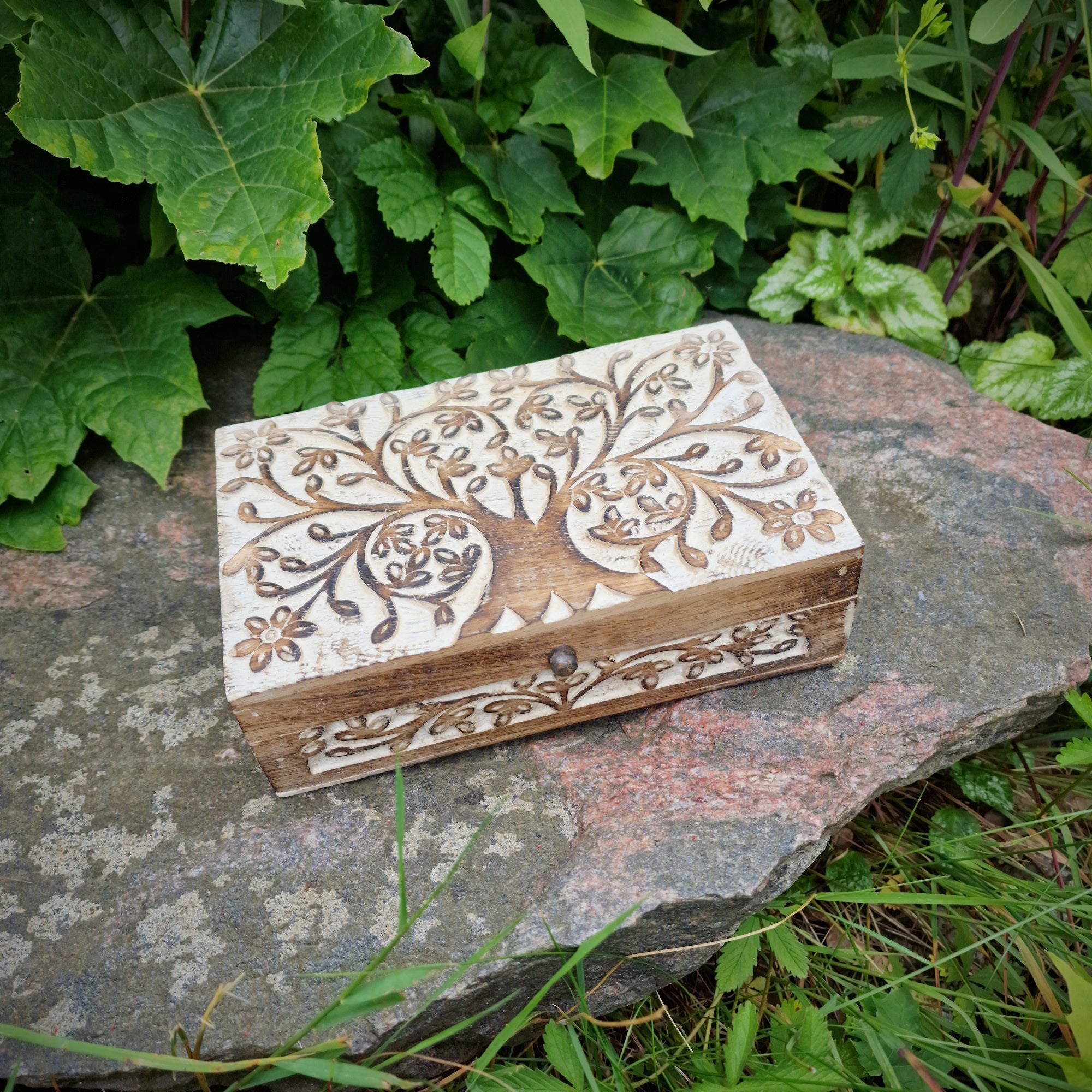 Holzbox Mangoholz Lebensbaum Gesamtansicht – Deko & Aufbewahrung Budawi