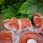Detailansicht Elefantenkreis Terrakotta rot – 5 Figuren