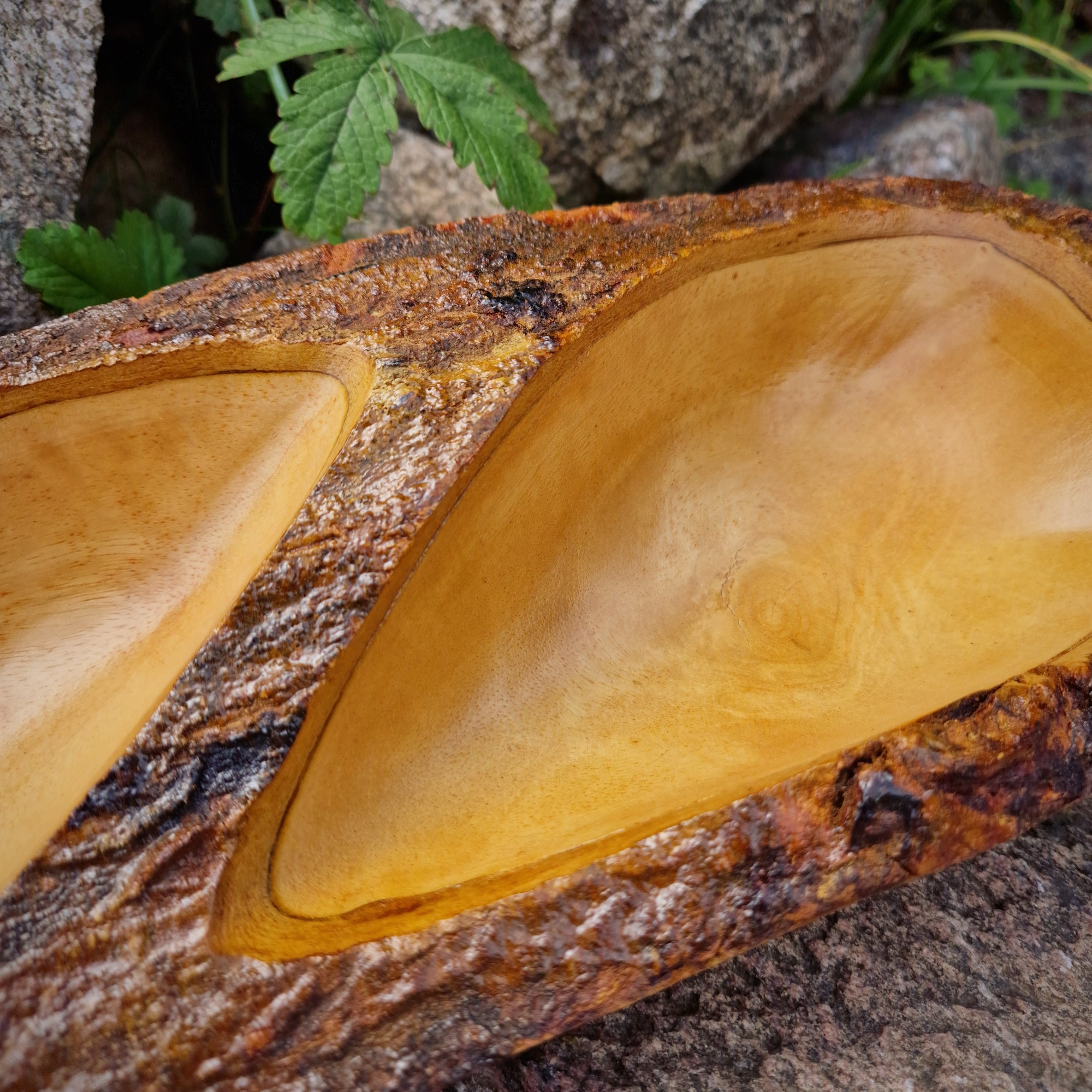 Mangoholz Schale ca. 40 cm Obstschale Snackschale rustikal Dekoschale