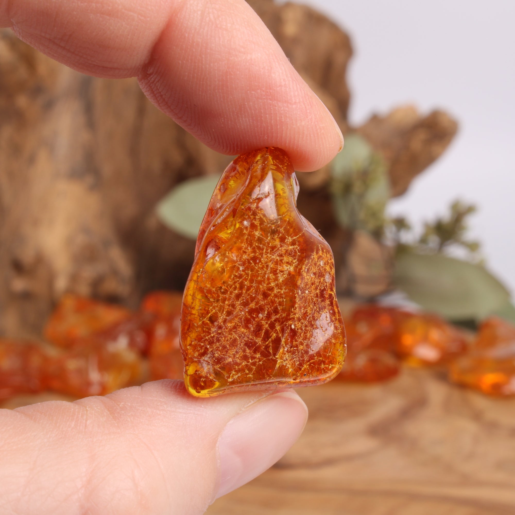 bernstein aufbewahren Budawi® Echter Bernstein Trommelstein Naturbernstein fossiles Harz