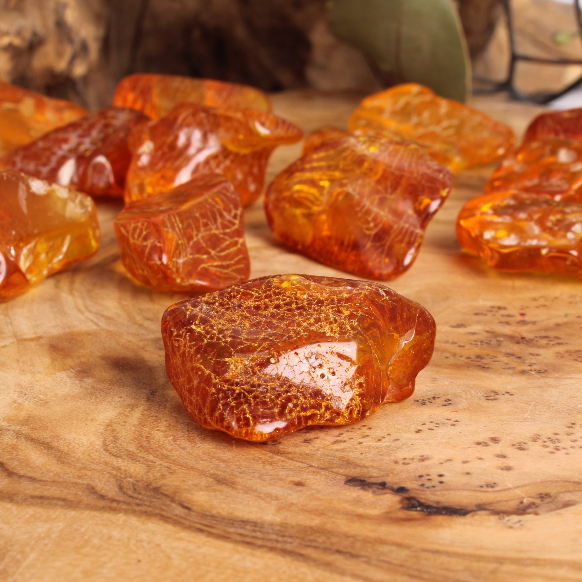 bernstein aufbewahren Budawi® Echter Trommelstein Naturbernstein fossiles Harz Zeltkederschiene Sammelkarten aufbewahrung - Etsy Menge:5x 1 kg