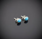 echte arizona türkis Stein Trommelstein Hals Schmuck Anhänger Edelstein Heilstein Rohstein Rohstück Glücksstein Schutzstein Lochstein Naturstein Amulett Deko Handstein Handschmeichler Kugel Ohrringe Armband