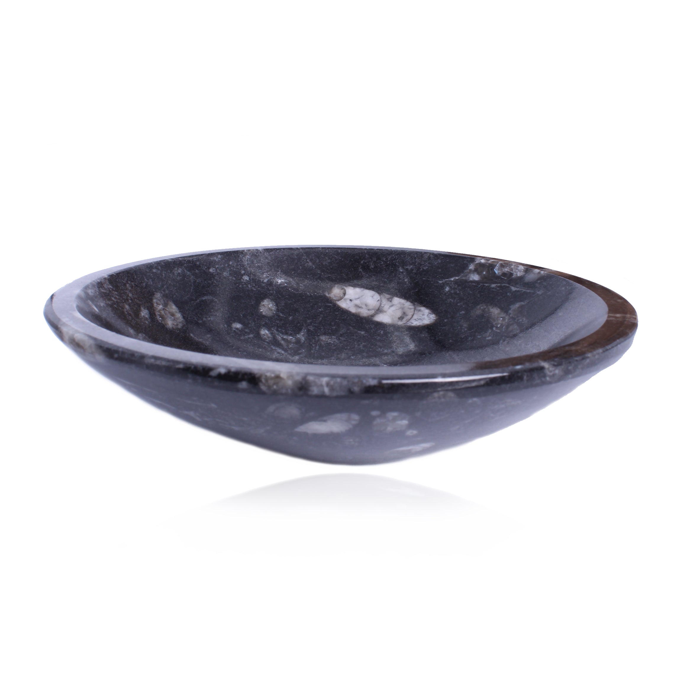 Orthoceras Fossilien Schale – Naturstein handgearbeitet, Vorderansicht