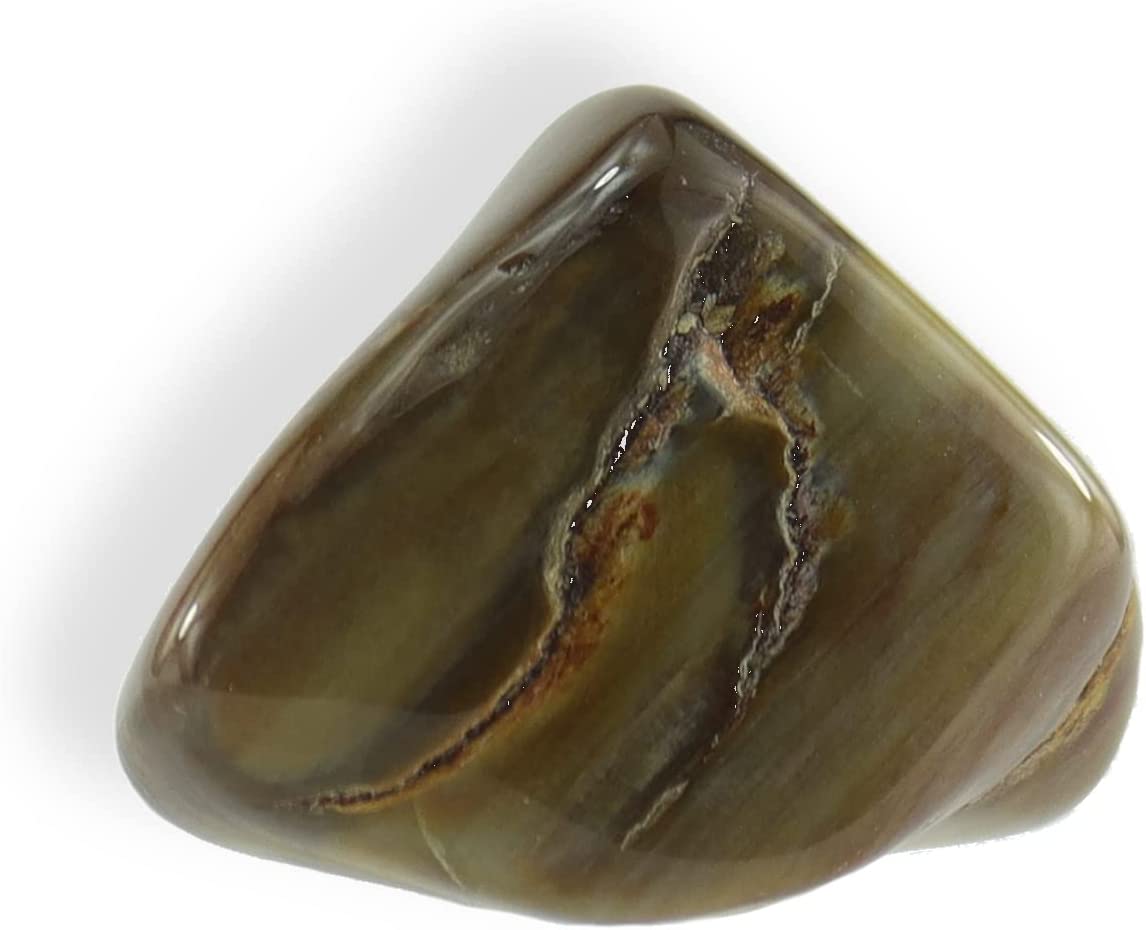 fossiles versteinertes Holz Handstein Handschmeichler Anhänger Stein Schutzstein Glücksstein Schmuckstein Heilstein Edelstein Wasserstein Rohstein Rohstück Massagestein