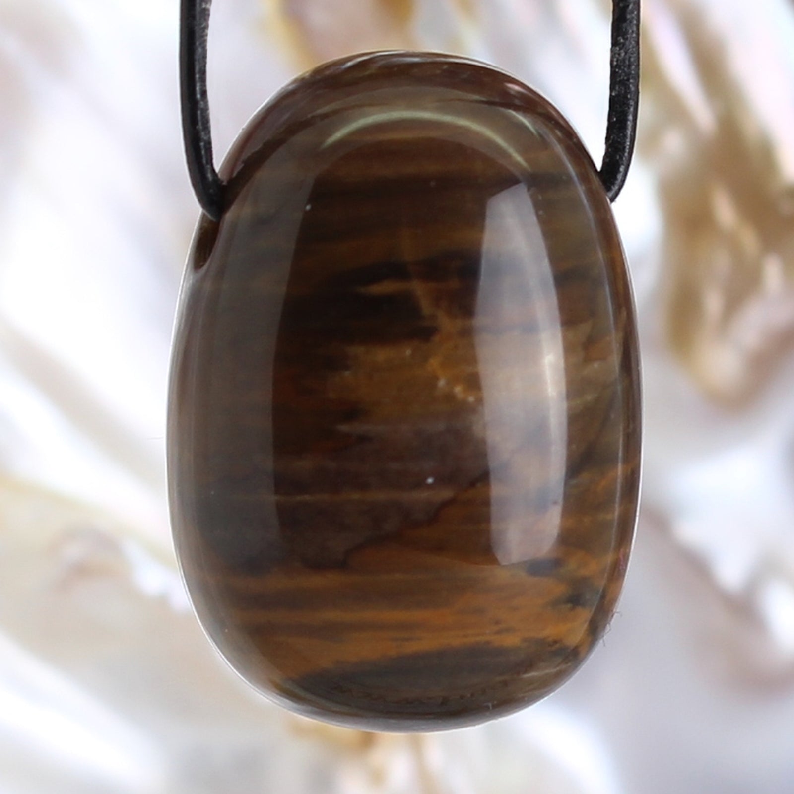 Fossiler Versteinerter Holz Anhänger Kettenanhänger Trommelstein mit Lederband Halskettenanhänger Kettenschmuck Kristall Rohkristall Stein Silberanhänger Silberschmuck Edelsteinanhänger Edelstein Heilstein Schmuckanhänger Halsschmuck Rohstein Rohstück Schmuckstein Schmuck Schutzstein Glücksstein Holzscheibe Holzstück Fossilien
