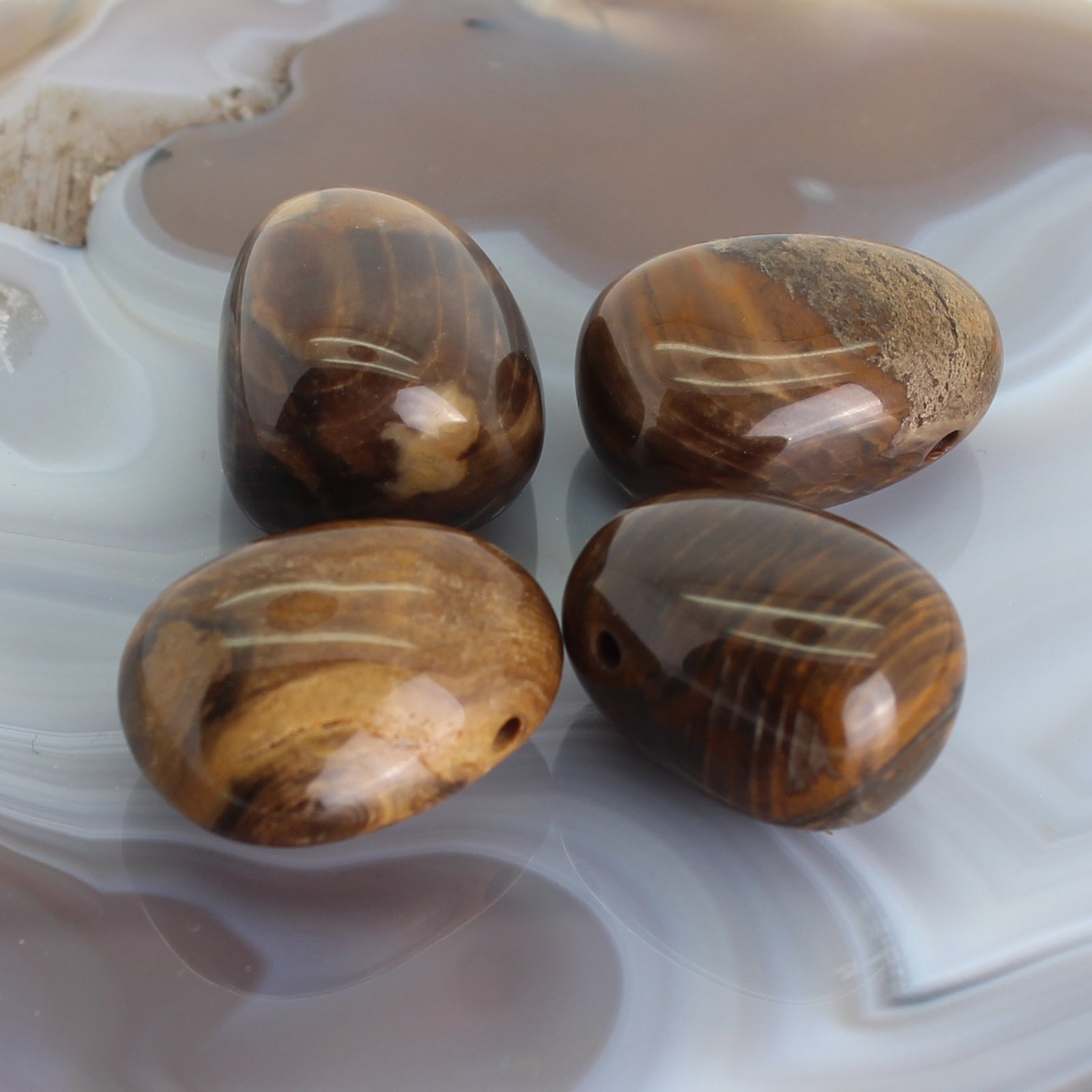 Fossiler Versteinerter Holz Anhänger Kettenanhänger Trommelstein mit Lederband Halskettenanhänger Kettenschmuck Kristall Rohkristall Stein Silberanhänger Silberschmuck Edelsteinanhänger Edelstein Heilstein Schmuckanhänger Halsschmuck Rohstein Rohstück Schmuckstein Schmuck Schutzstein Glücksstein Holzscheibe Holzstück Fossilien
