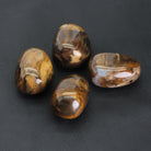 Fossiler Versteinerter Holz Anhänger Kettenanhänger Trommelstein mit Lederband Halskettenanhänger Kettenschmuck Kristall Rohkristall Stein Silberanhänger Silberschmuck Edelsteinanhänger Edelstein Heilstein Schmuckanhänger Halsschmuck Rohstein Rohstück Schmuckstein Schmuck Schutzstein Glücksstein Holzscheibe Holzstück Fossilien