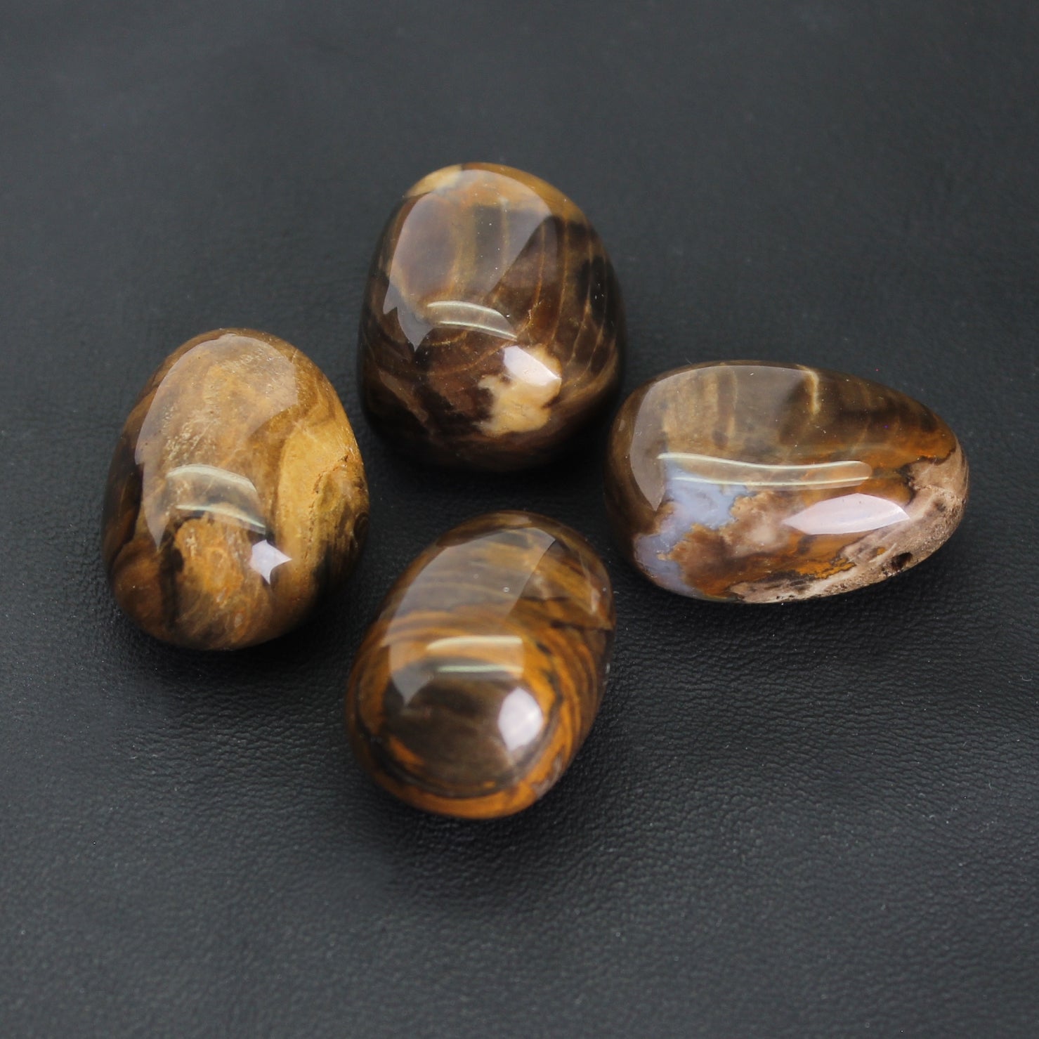 Fossiler Versteinerter Holz Anhänger Kettenanhänger Trommelstein mit Lederband Halskettenanhänger Kettenschmuck Kristall Rohkristall Stein Silberanhänger Silberschmuck Edelsteinanhänger Edelstein Heilstein Schmuckanhänger Halsschmuck Rohstein Rohstück Schmuckstein Schmuck Schutzstein Glücksstein Holzscheibe Holzstück Fossilien
