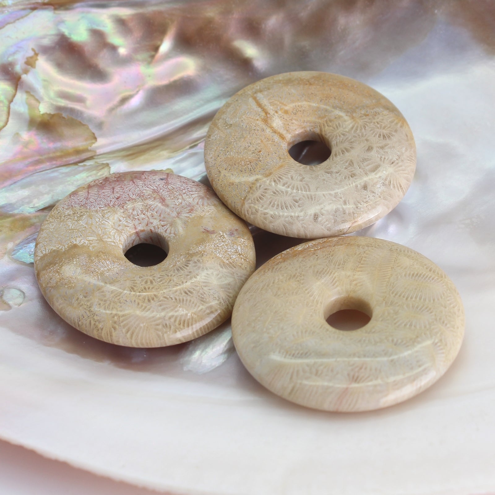Fossile versteinerte Koralle Donut Anhänger Kettenanhänger 40 mm mit Lederband Halskettenanhänger Kettenschmuck Stein Trommelstein Anhänger Schmuck Schmuckstein Rohstein Rohstück Edelstein Heilstein Silberanhänger Silberschmuck Schutzstein Glücksstein