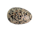 Dalmatinerstein Dalmatiner Jaspis Dalmatinerjaspis Stein Trommelstein Ei Eier Osterei Ostereier Dekoei Dekoeier Kugel Dekofigur Figur Figuren Sammlerstücke Dekostein Edelsteinei Edelsteineier Naturstein Edelstein Heilstein Rohstein Rohstück Brocken