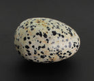 Dalmatinerstein Dalmatiner Jaspis Dalmatinerjaspis Stein Trommelstein Ei Eier Osterei Ostereier Dekoei Dekoeier Kugel Dekofigur Figur Figuren Sammlerstücke Dekostein Edelsteinei Edelsteineier Naturstein Edelstein Heilstein Rohstein Rohstück Brocken
